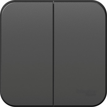 2-клавишный выключатель SCHNEIDER ELECTRIC BLANCA 10А, 250B, АНТРАЦИТ