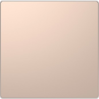 Клавиша одинарная MERTEN D-LIFE, ШАМПАНЬ Клавиша одинарная MERTEN D-LIFE, ШАМПАНЬ